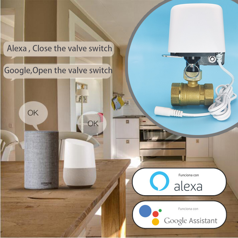 Valvola dell'Acqua WiFi Tuya Z - Home Assistant Tuya recensione e prezzo